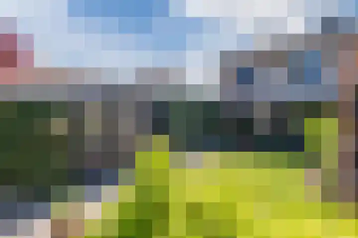 Lindestraat 34 Eersel thumbnail 29