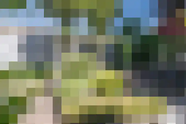 Lindestraat 34 Eersel thumbnail 30