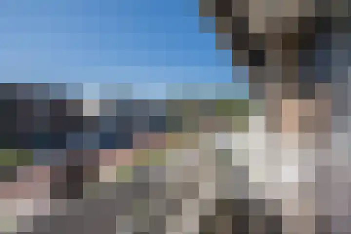 Lindestraat 34 Eersel thumbnail 33