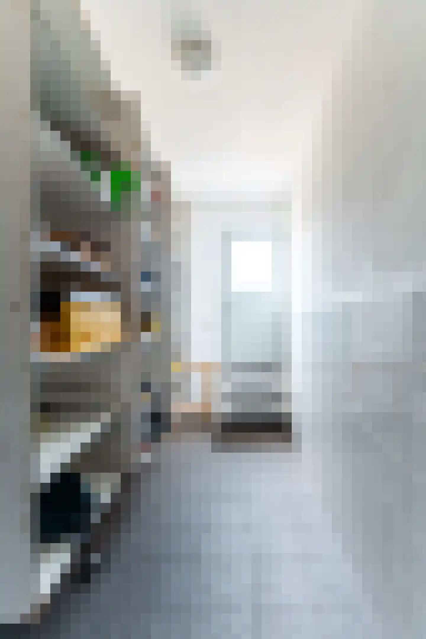 Lindestraat 37 a Reusel thumbnail 23