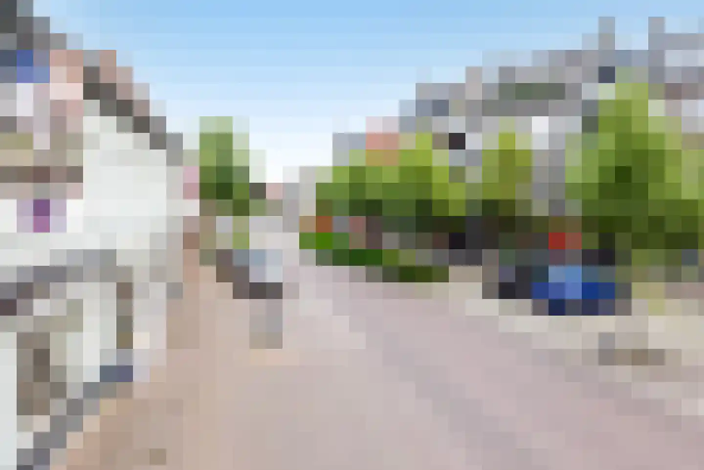 Lindestraat 37 a Reusel thumbnail 4