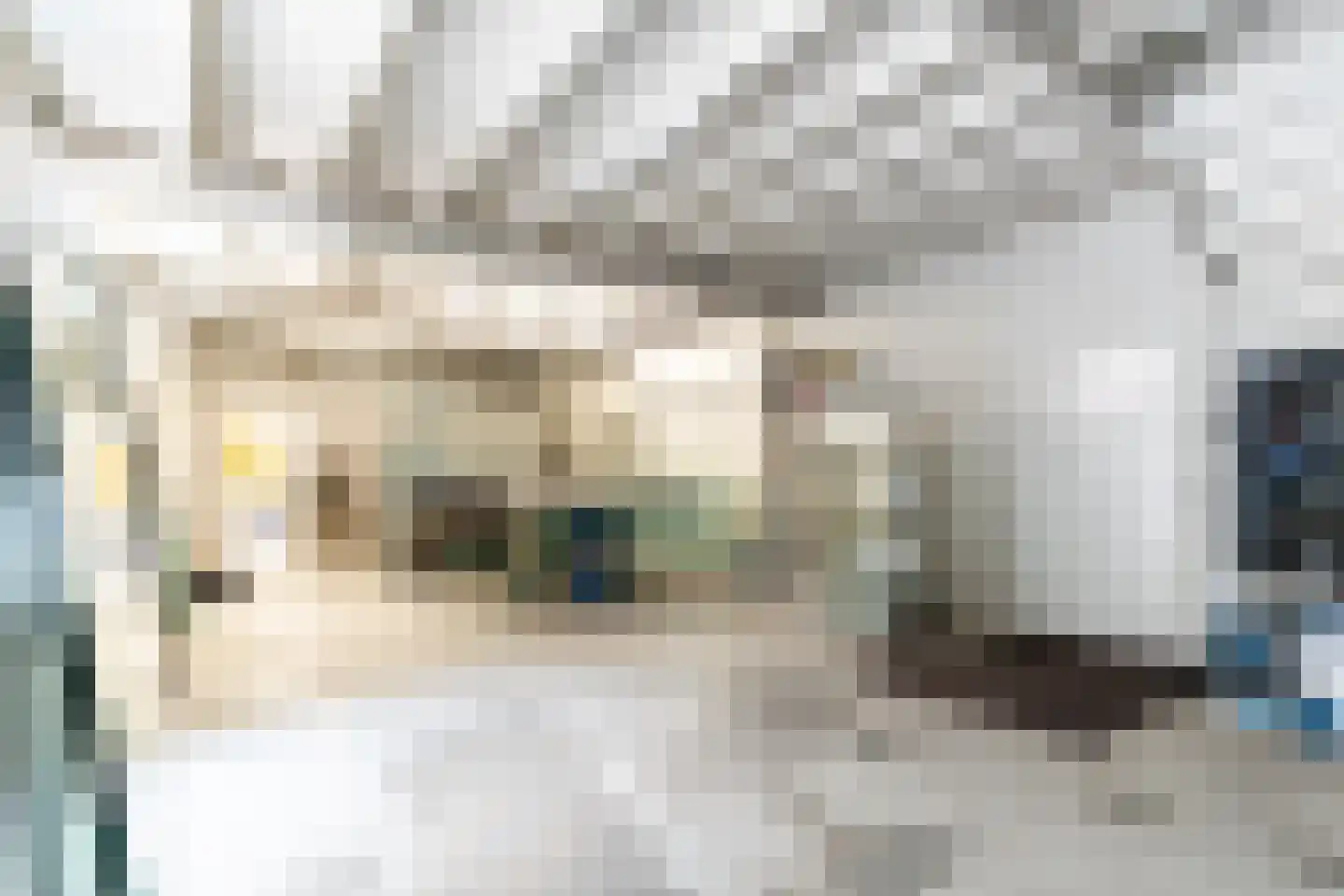Lindestraat 37 a Reusel thumbnail 64