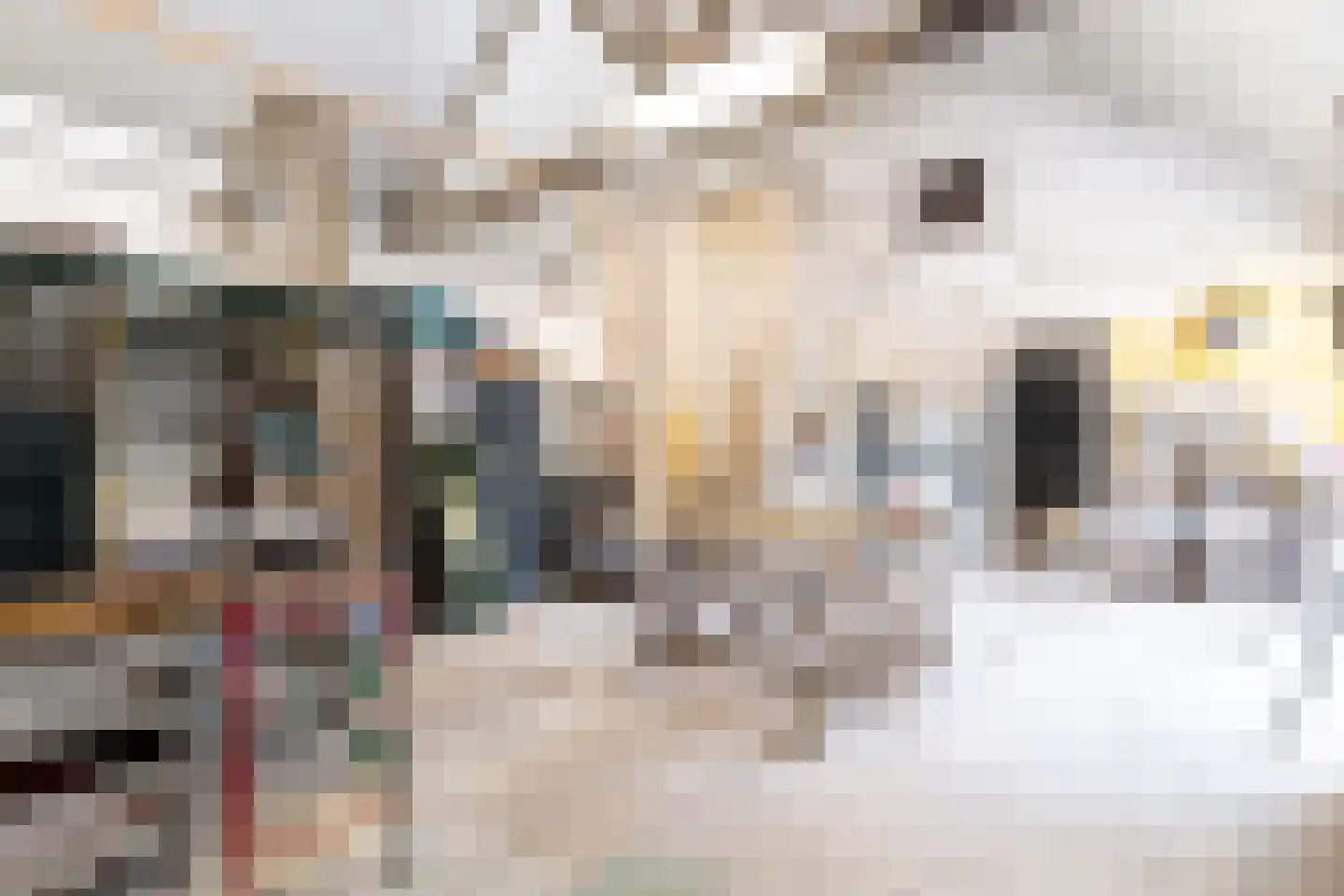 Lindestraat 37 a Reusel thumbnail 70