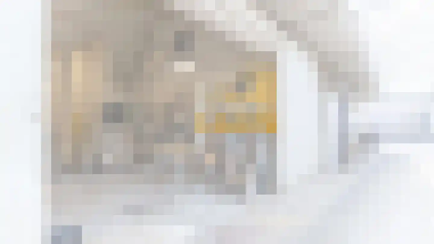 Lindestraat 37 a Reusel thumbnail 74
