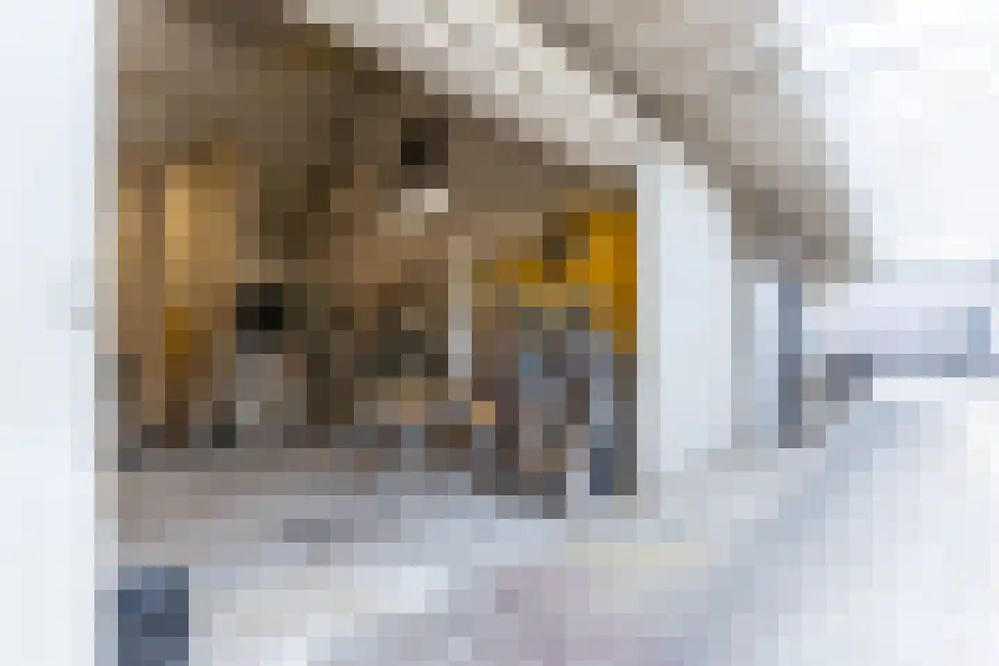 Lindestraat 37 a Reusel thumbnail 75