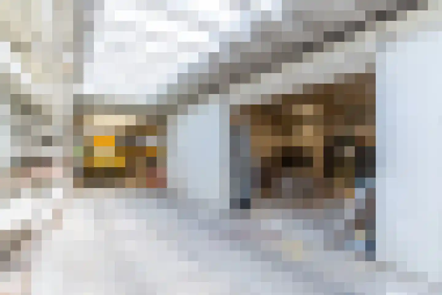 Lindestraat 37 a Reusel thumbnail 76