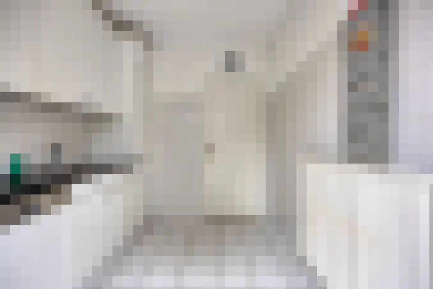 Lindestraat 4 Drunen thumbnail 14