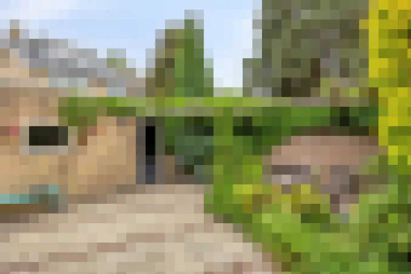 Lindestraat 4 Drunen thumbnail 30