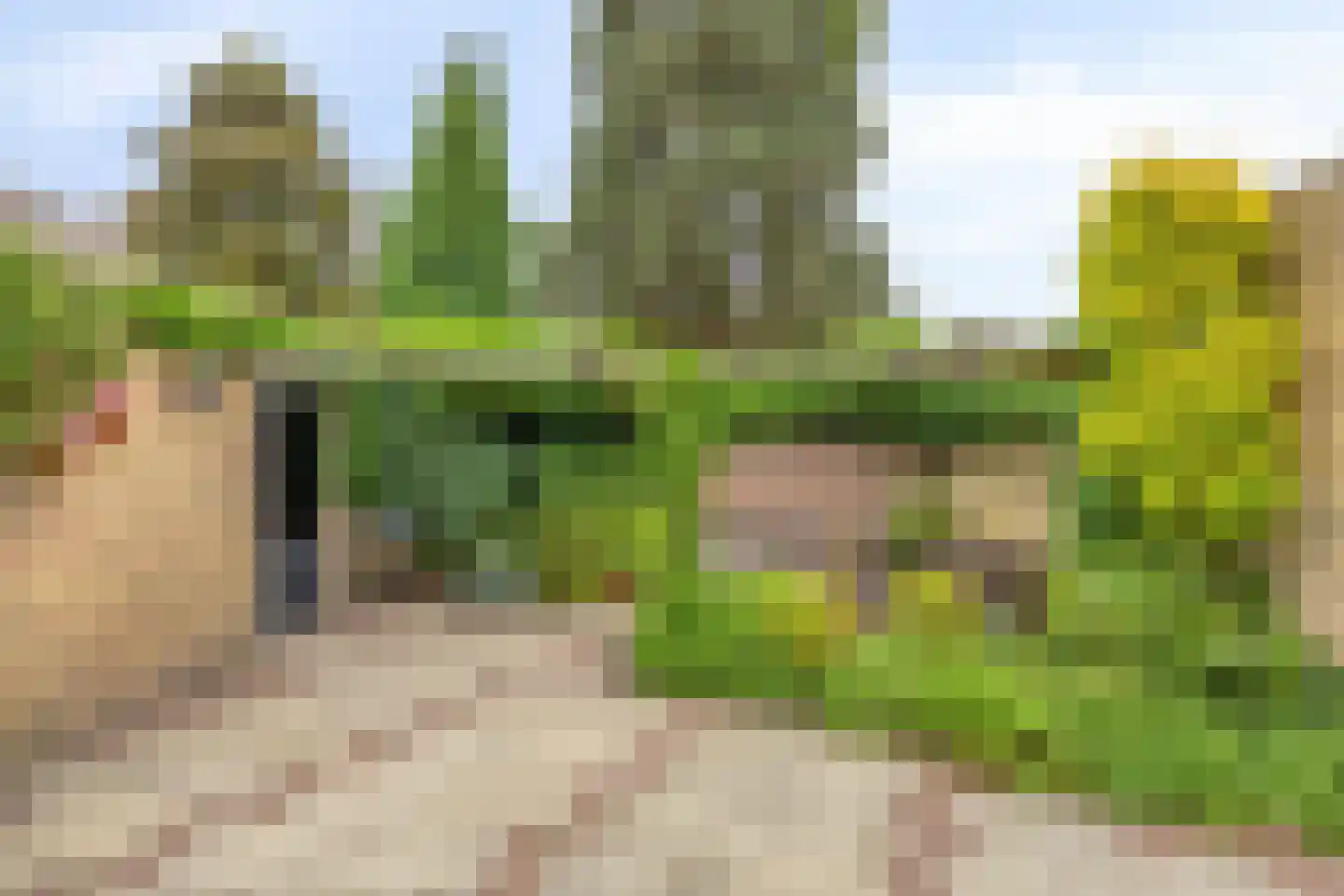 Lindestraat 4 Drunen thumbnail 31