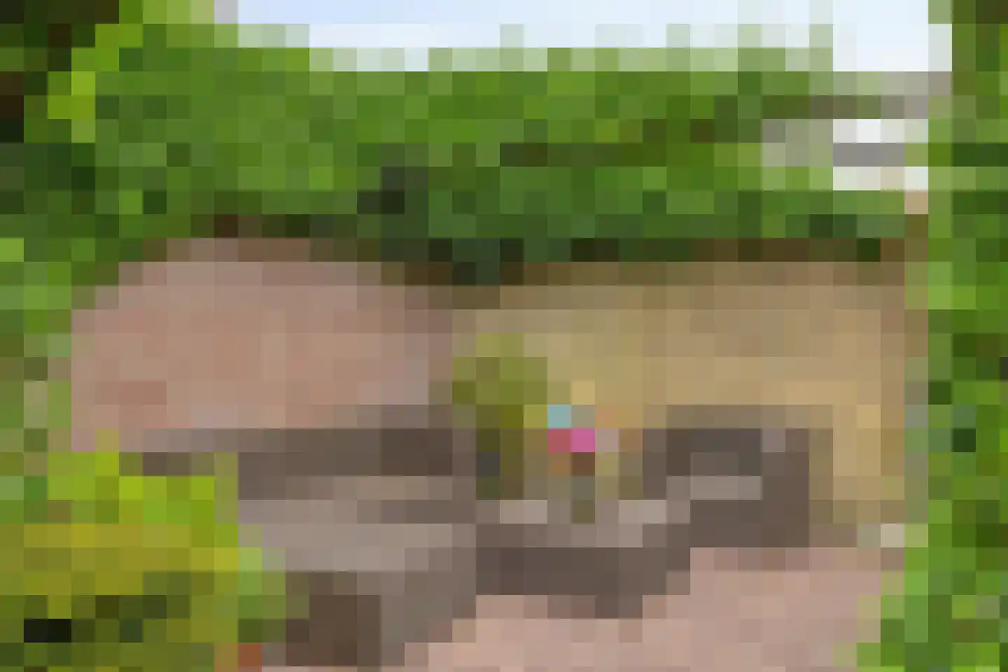 Lindestraat 4 Drunen thumbnail 33
