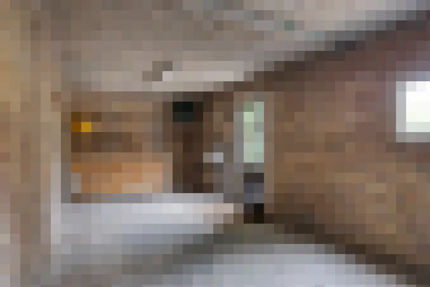 Lindestraat 4 Drunen thumbnail 39