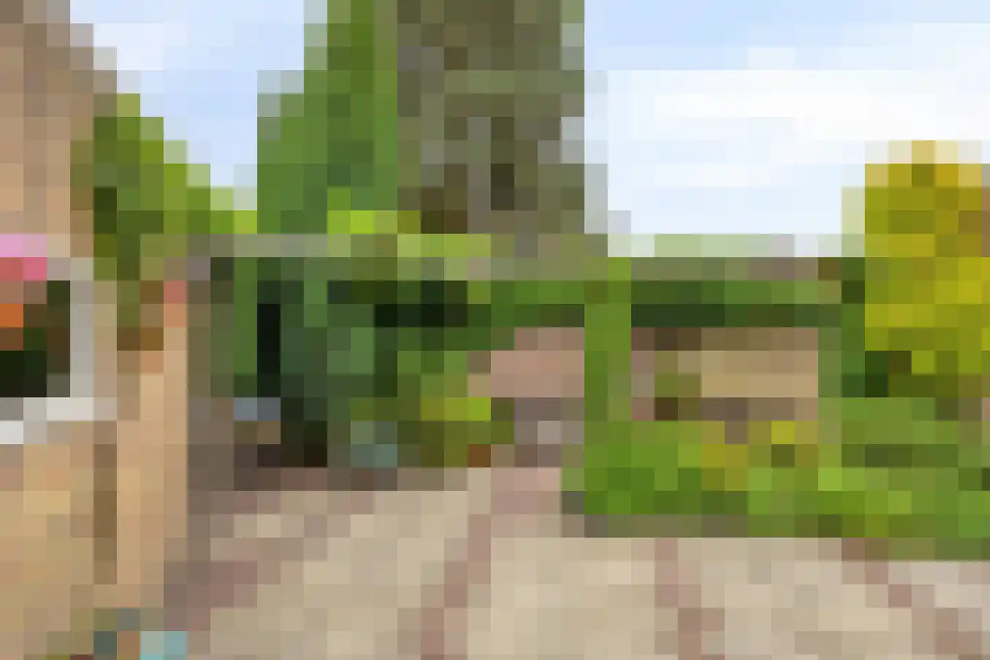 Lindestraat 4 Drunen thumbnail 4