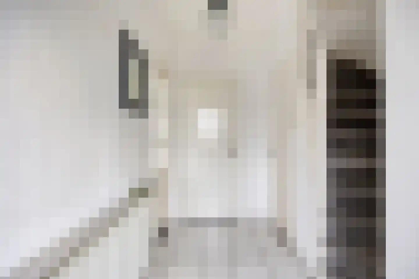 Lindestraat 4 Drunen thumbnail 7