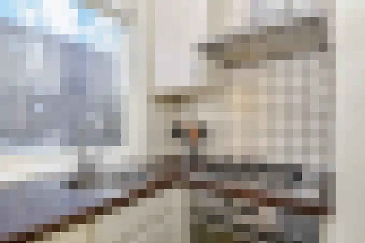Lindestraat 46 Den Haag thumbnail 13