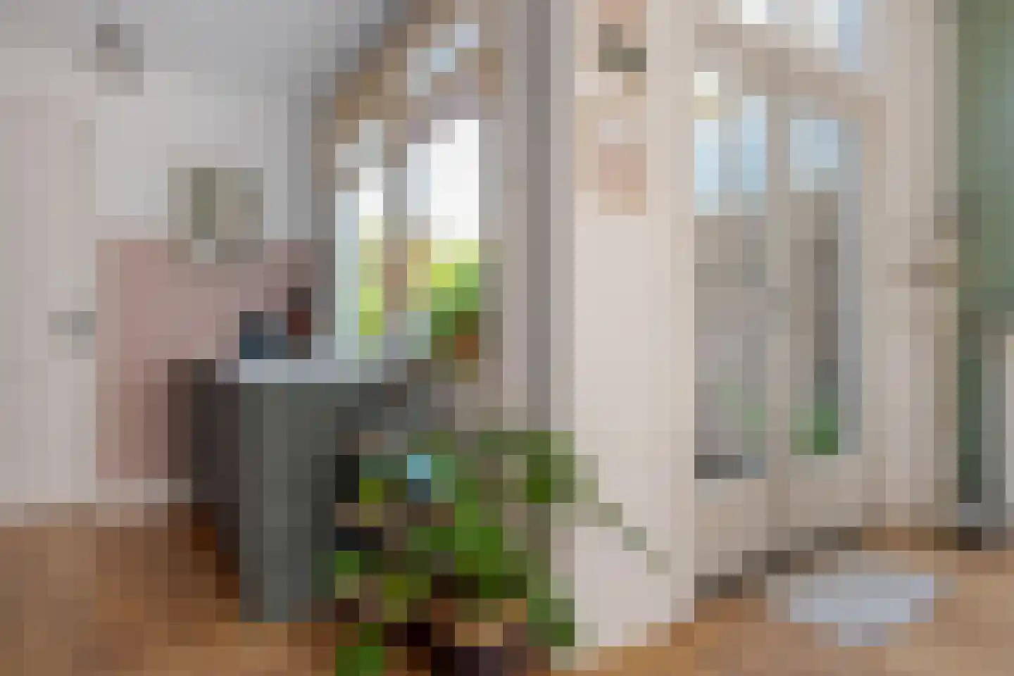 Lindestraat 46 Zwolle thumbnail 23