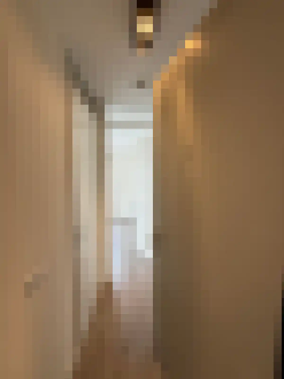 Lindestraat 51 Eersel foto 2