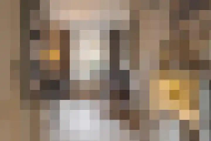 Lindestraat 53 Zwolle thumbnail 12