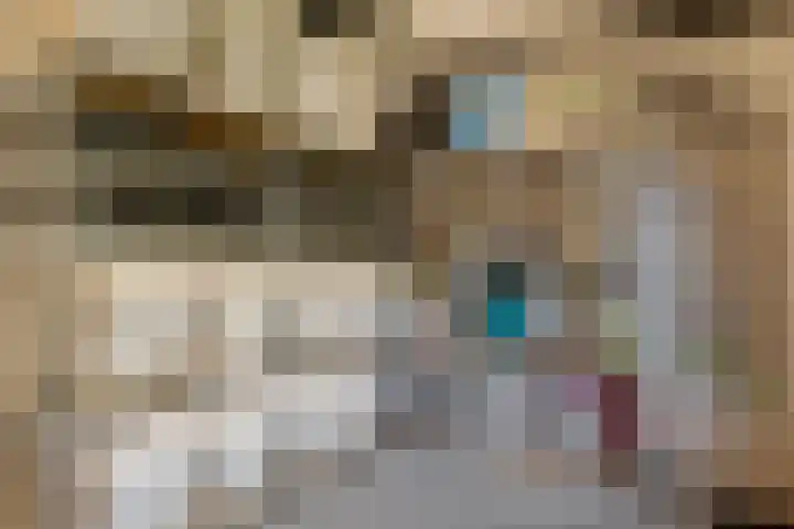 Lindestraat 53 Zwolle thumbnail 31