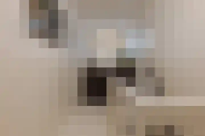 Lindestraat 53 Zwolle thumbnail 33