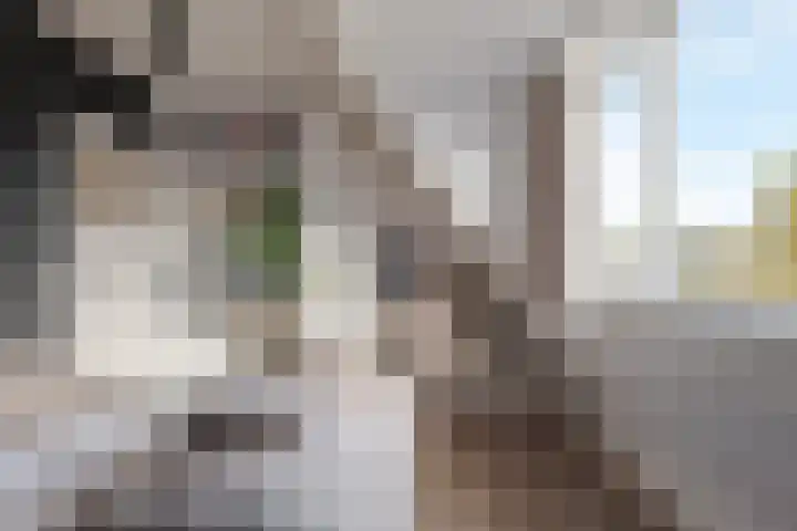 Lindestraat 53 Zwolle thumbnail 38