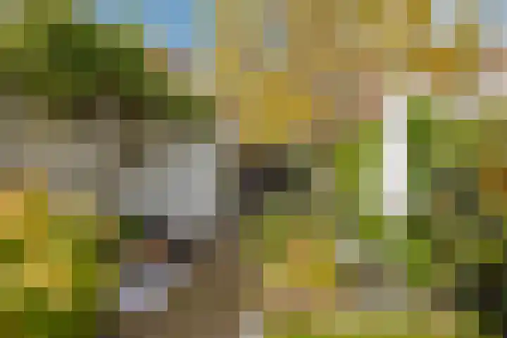 Lindestraat 53 Zwolle thumbnail 5