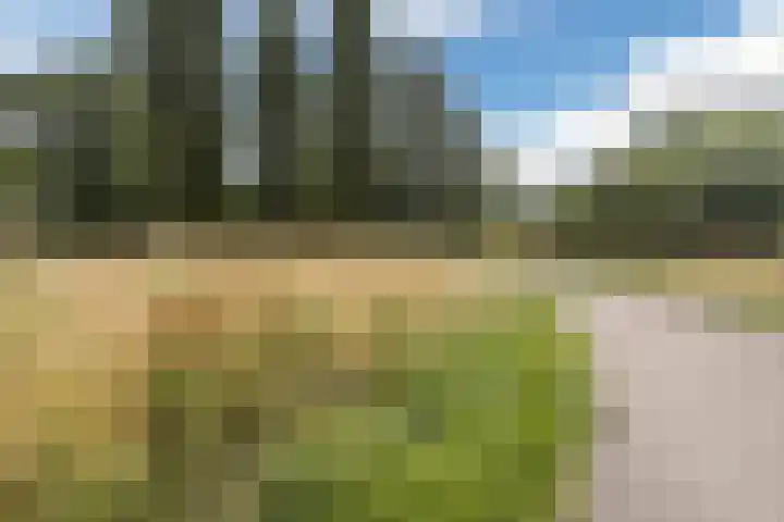 Lindestraat 6 Lichtenvoorde thumbnail 51