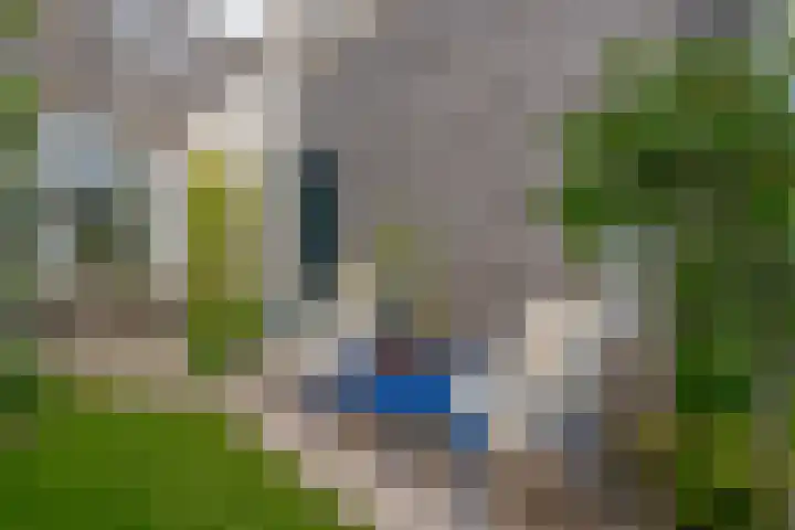 Lindestraat 63 Zwolle thumbnail 30