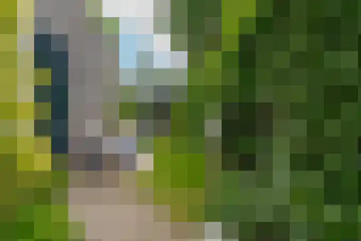 Lindestraat 63 Zwolle thumbnail 31