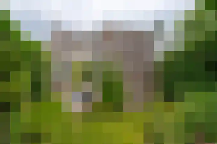 Lindestraat 63 Zwolle thumbnail 4