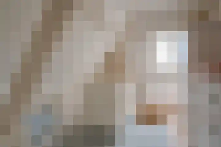 Lindestraat 63 Zwolle thumbnail 43