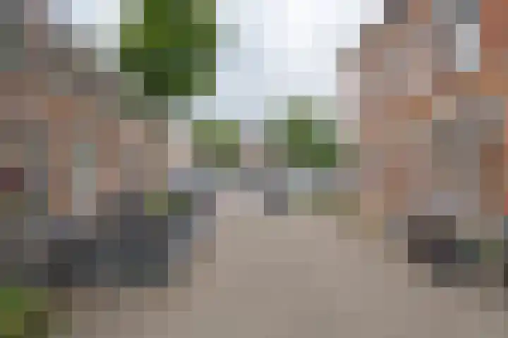 Lindestraat 63 Zwolle thumbnail 5