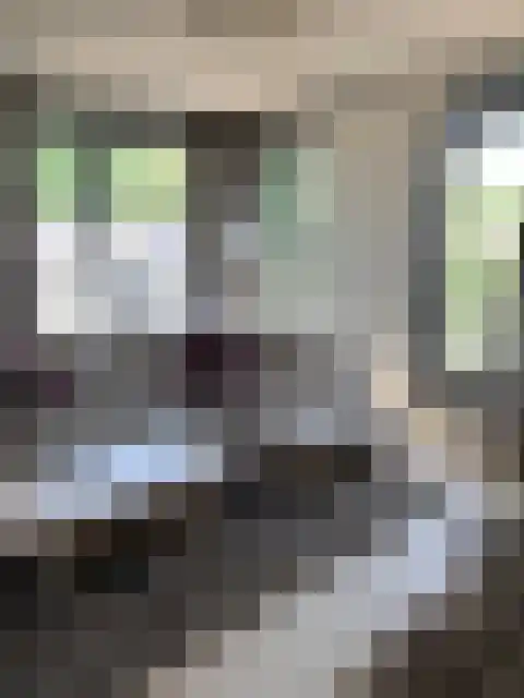 Lindestraat 65 Eersel thumbnail 7
