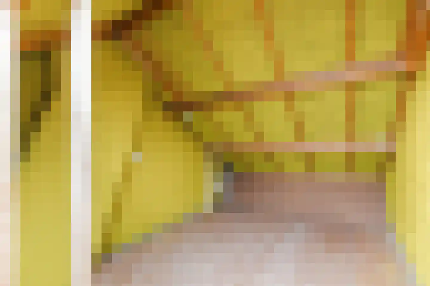 Lindestraat 69 Eersel thumbnail 33