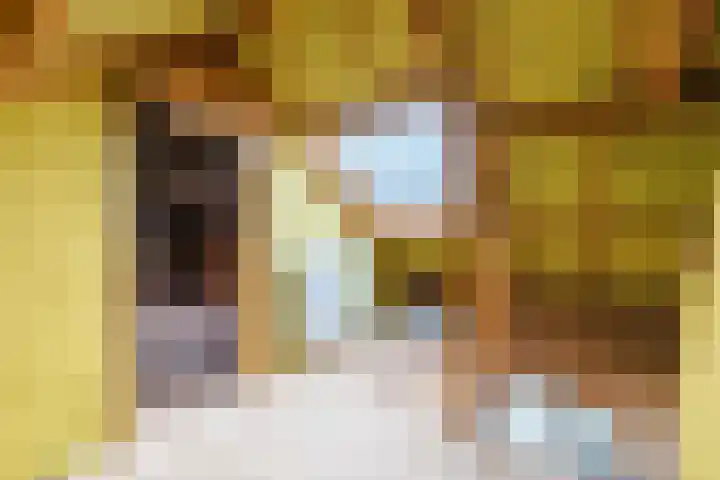 Lindestraat 69 Eersel thumbnail 34