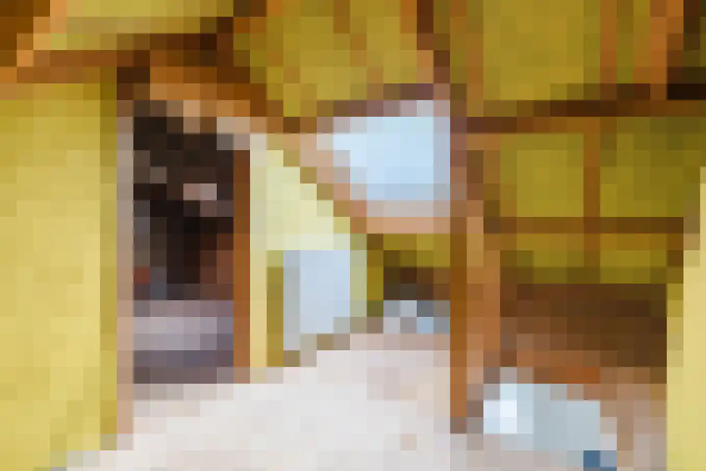 Lindestraat 69 Eersel thumbnail 34