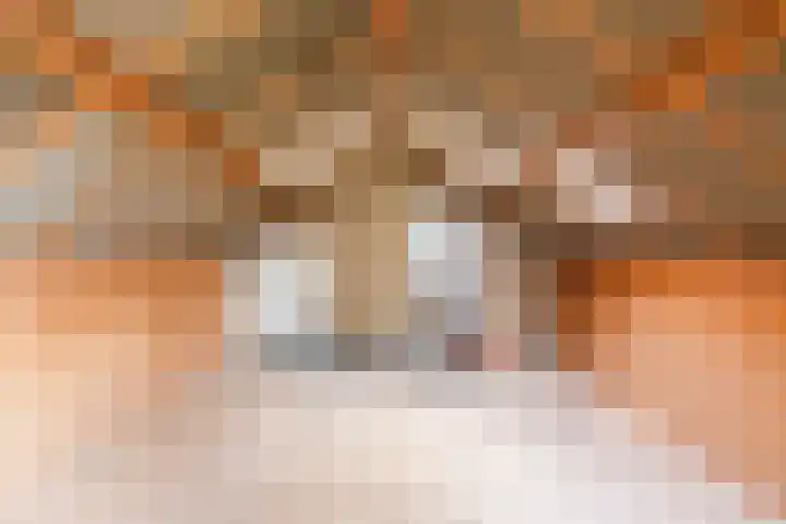 Lindestraat 69 Eersel thumbnail 35