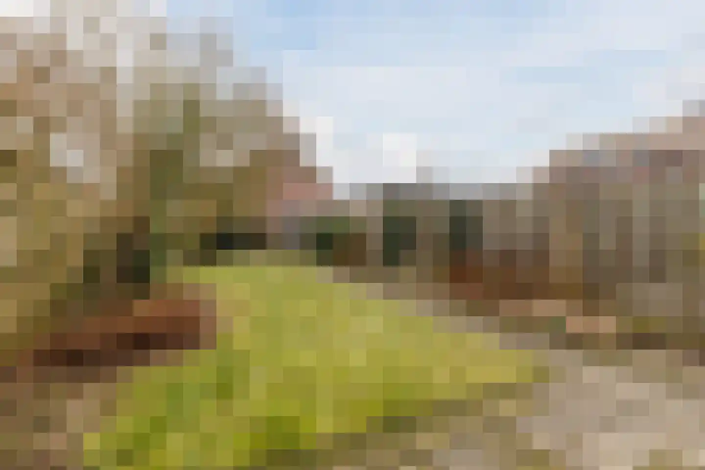 Lindestraat 69 Eersel thumbnail 38