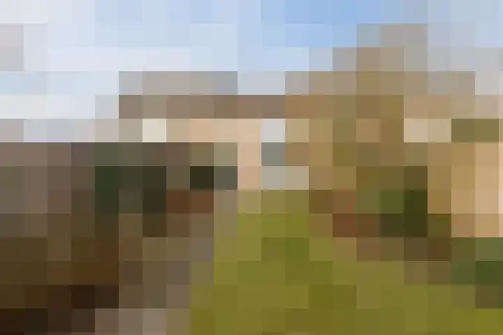 Lindestraat 69 Eersel thumbnail 39