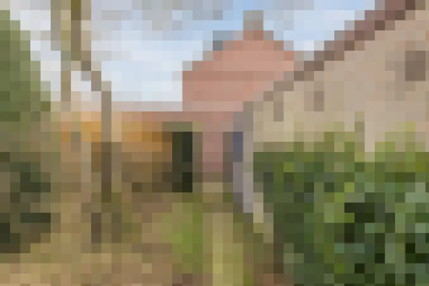 Lindestraat 69 Eersel thumbnail 40