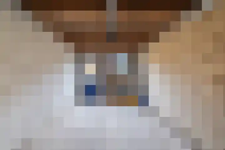 Lindestraat 69 Eersel thumbnail 42