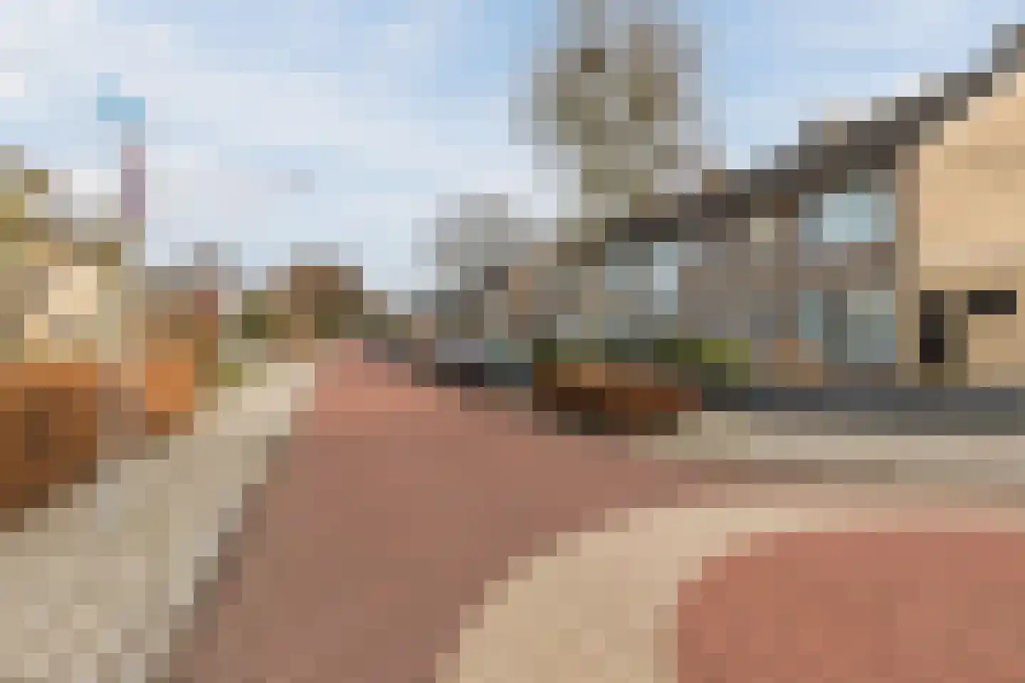 Lindestraat 69 Eersel thumbnail 44