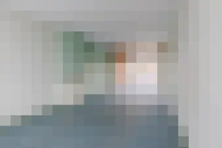 Lindestraat 69 Eersel thumbnail 5