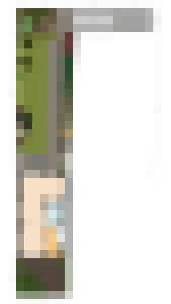 Lindestraat 69 Eersel thumbnail 54