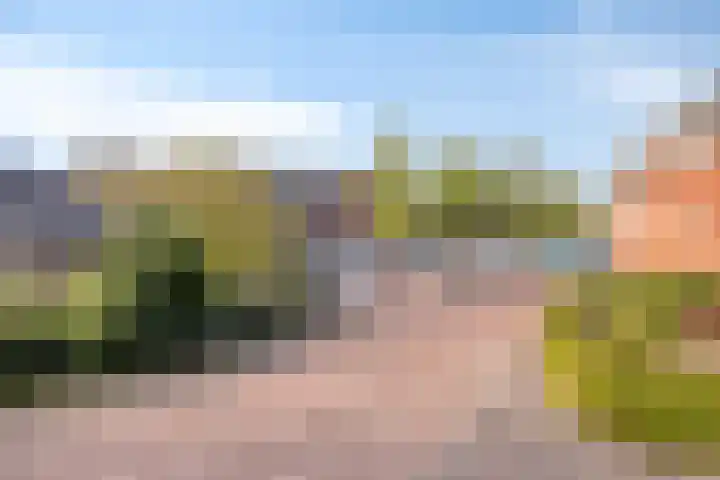Lindestraat 8 b Asten thumbnail 5