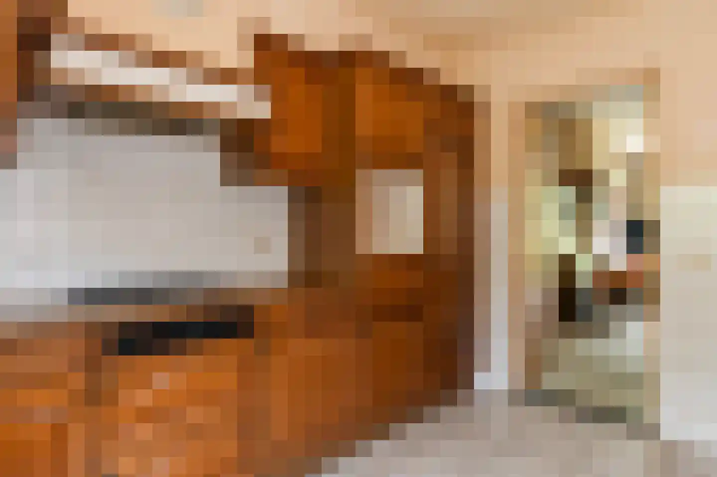 Lindestraat 8 Lichtenvoorde thumbnail 16