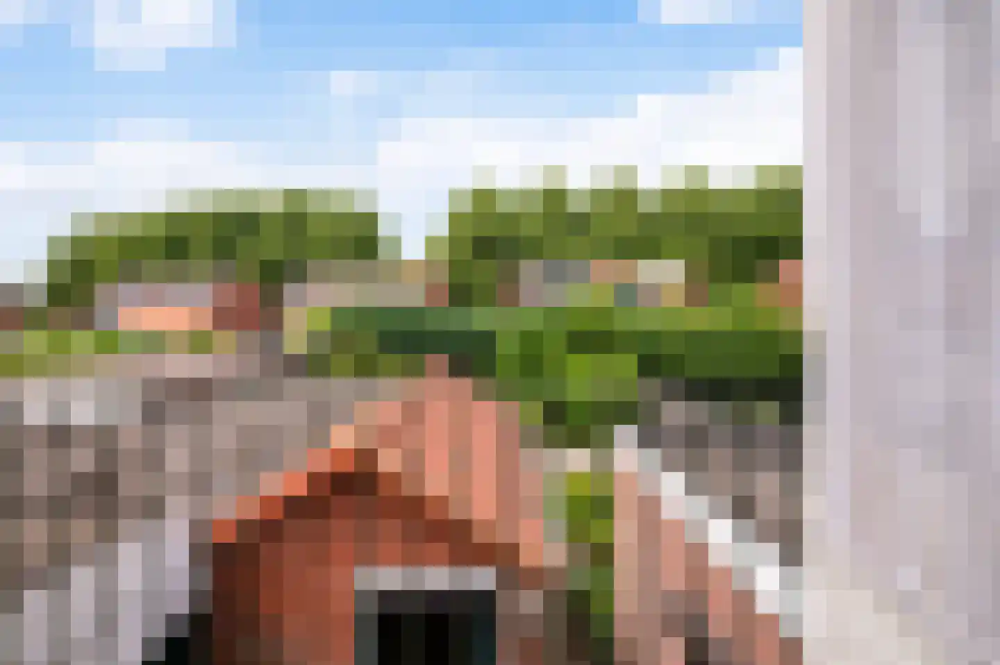 Lindestraat 8 Lichtenvoorde thumbnail 21