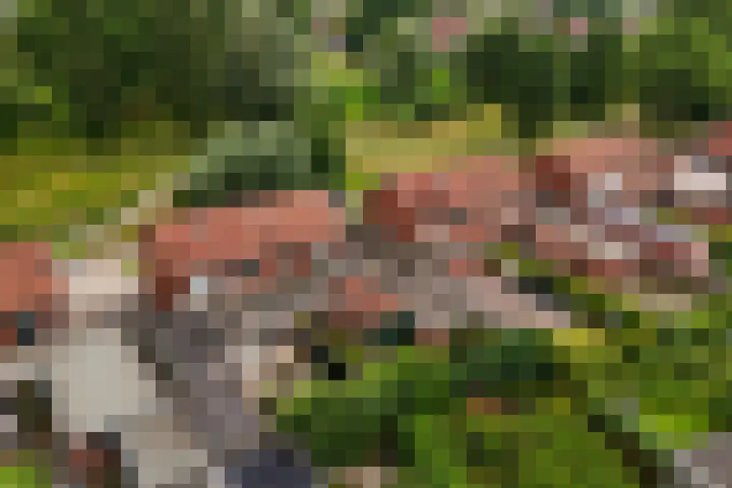 Lindestraat 8 Lichtenvoorde thumbnail 4