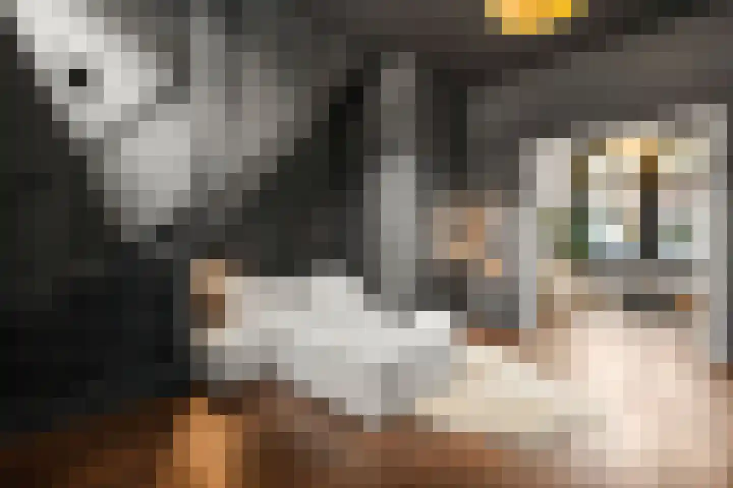 Lindestraat 9 Utrecht thumbnail 10