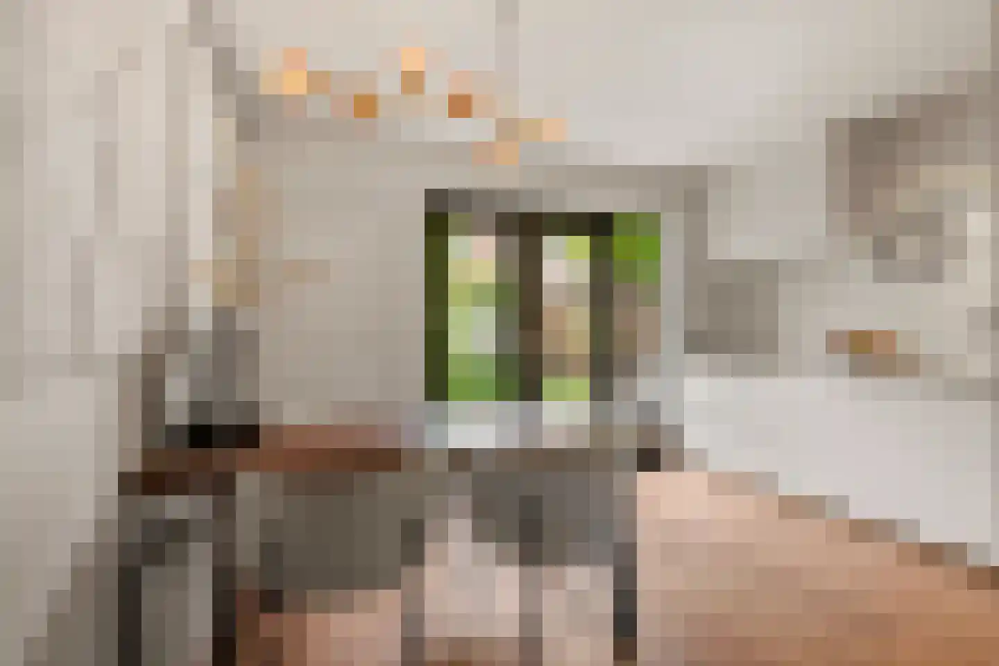 Lindestraat 9 Utrecht thumbnail 12