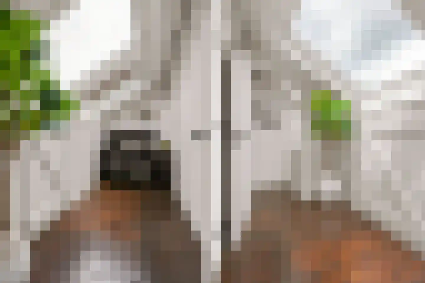 Lindestraat 9 Utrecht thumbnail 19